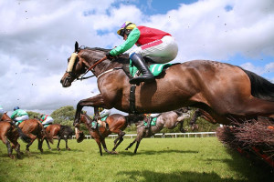 Annual Membership To The Elite Racing Club - Ever Dreamed Of Becoming A Connection In A Group Of Racehorses" Well, Now This Dream Could Be A Reality