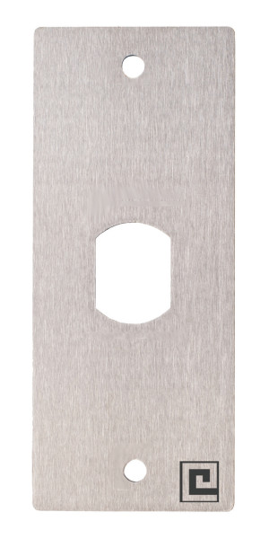Plaque inox 40 x 100 mm T25 avec 2 vis antivandales HERACLES PCA-PL40PP