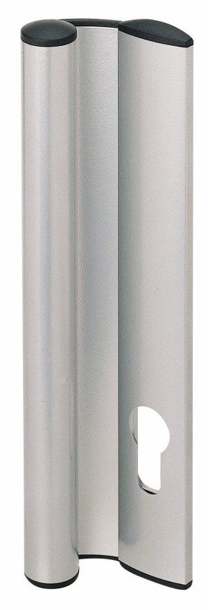 Stremler ASSA ABLOY Poignée fixe extérieure avec trou de cylindre argenté VACHETTE 6405.10.0