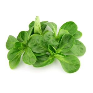 Roszponka myta 100g