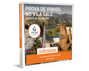 Prova de Vinhos no Vila Galé   Alentejo ou Douro   5 Locais à Escolha