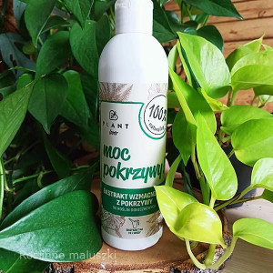 Moc pokrzywy-ekstrakt wzmacniający 300ml. kwiaty doniczkowe
