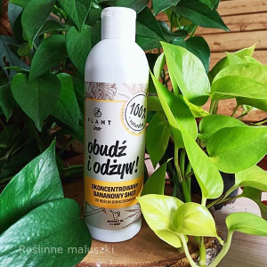 Obudź i odżyw-bananowy shot do roślin 300ml.