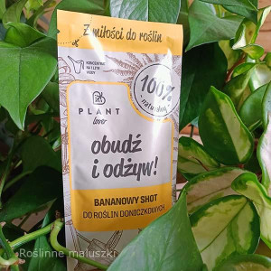Obudź i odżyw-bananowy shot do roślin doniczkowych