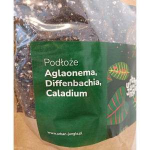 Podłoże: aglaonema, dieffenbachia, caladium (Urban Jungle) - 3L kwiaty doniczkowe