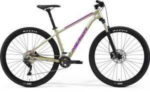 MERIDA BIG NINE 300 SILK CHAMPAGNE
