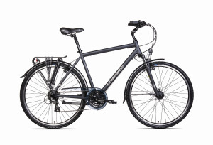 UNIBIKE VISION GTS 2025 szary
