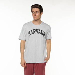 Champion Crewneck T-Shirt Grey Harvard
