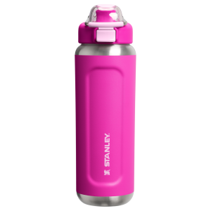 Stanley Classic Wellspring Bottle 0.71 Violet Blossom