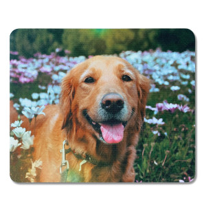 Personalisiertes Mauspad mit Fotodruck – Dein Design für den Schreibtisch als Geschenk, Mauspad mit Wunschbild - rechteckig, groß | LOOXIS