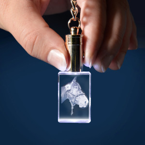 Personalisierter Glasfoto-Schlüsselanhänger mit weisser LED-Beleuchtung, Hochformat – Dein Foto als Lasergravur, ein tolles Geschenk | LOOXIS