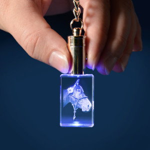 Personalisierter Glasfoto-Schlüsselanhänger mit blauer LED-Beleuchtung, Hochformat – Dein Foto als Lasergravur, ein tolles Geschenk | LOOXIS