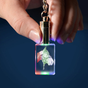 Personalisierter Glasfoto-Schlüsselanhänger mit farbwechselnder LED-Beleuchtung, Hochformat – Dein Foto als Lasergravur, ein tolles Geschenk | LOOXIS
