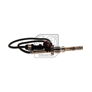 EFI 1473981 Sonde Temper.