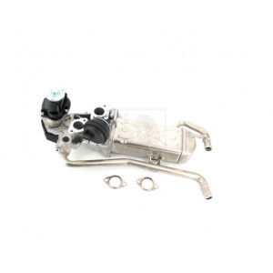 Vanne Egr Nps V564g02