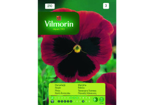 Σπόροι Vilmorin Πανσές Κόκκινος