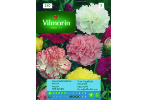 Σπόροι Vilmorin Γαρύφαλλο Μείγμα 0,5 g
