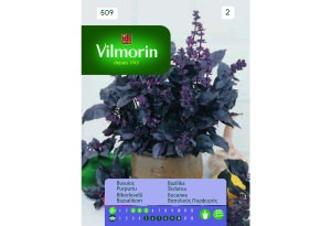 Σπόροι Vilmorin Βασιλικός Πορφυρός