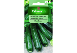 Σπόροι Vilmorin Κολοκυθάκι Black Beauty 1 g