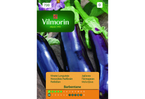 Σπόροι Vilmorin Μελιτζάνα 0,5 g