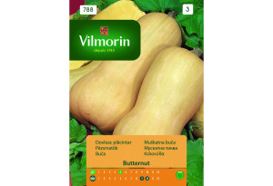 Σπόροι Vilmorin Κολοκύθα Butternut 1 g