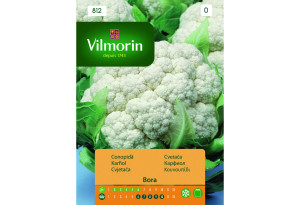 Σπόροι Vilmorin Κουνουπίδι 0,5 g