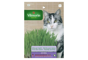 Σπόροι Vilmorin Γατοχορτο 20 g