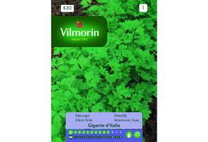 Σπόροι Vilmorin Μαϊντανός Γίγας 5 g