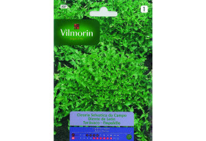 Σπόροι Vilmorin Πικραλίδα 3 g