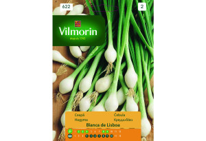 Σπόροι Vilmorin Κρεμμυδάκι
