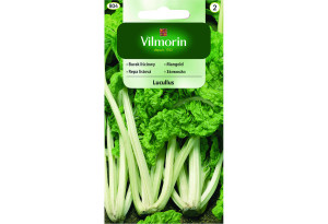 Σπόροι Vilmorin Σέσκουλο 10 g