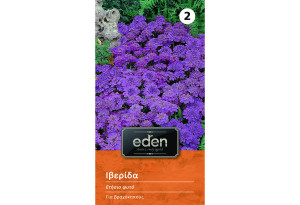 Σπόροι Eden Ιβερίδα 2 g