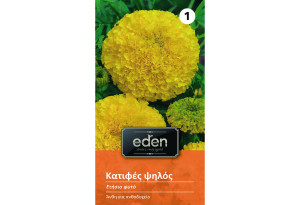Σπόροι Eden Κατιφές Γίγας Κίτρινος 0,8 g