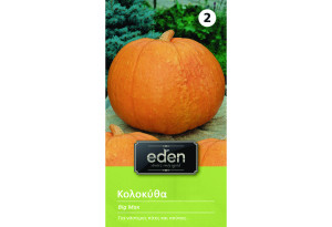 Σπόροι Eden Κολοκύθα 3 g