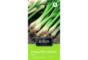 Σπόροι Eden Κρεμμυδάκι Φρέσκο 2 g