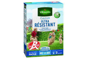 Σπόροι Γκαζόν Vilmorin 1Kg Αντοχής