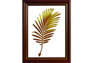 Κορνίζα Burci 50X70cm Καρυδιά-Χρυσό