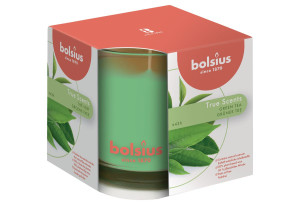 Αρωματικό Κερί Green Tea Bolsius σε Ποτήρι 9,5x9,5cm