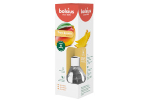 Αρωματικό Χώρου True Scents Mango 60ml
