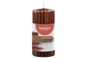 Αρωματικός Κορμός True Scents Oud Wood Φ6x12cm