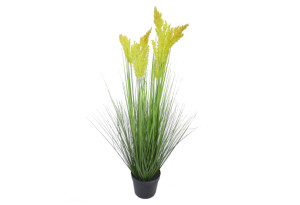 Τεχνητό Γρασίδι Home&Camp με 5 Pampas 68cm