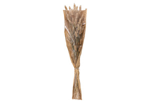 Διακοσμητικό Μπουκέτο Atmosphera Mini Pampas