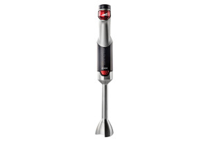 Gruppe Gourmet Plus YHB-801D Ραβδομπλέντερ 1000W