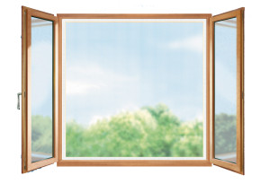 Σήτα Παραθύρου Σταθερή Tesa Standard 100x100cm Μαύρη