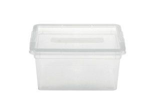 Κουτί Αποθήκευσης Πλαστικό Budget M19.5xΠ16.3xY9.5cm 2lt Διάφανο