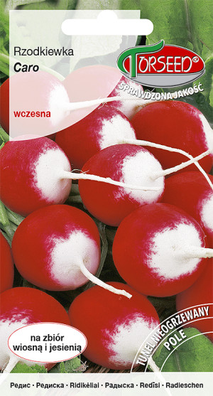 Nasiona Rzodkiewka Caro 10g - Torseed