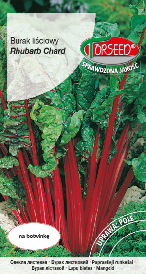 Nasiona Burak liściowy Rhubarb Chard 10g - Torseed