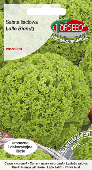 Nasiona Sałata liściowa (do uprawy w polu) Lollo Bionda 0,5g - Torseed