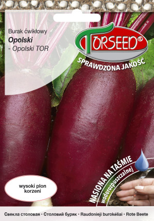 Nasiona Burak ćwikłowy Opolski TAŚMA 100szt - Torseed