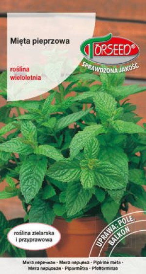 Nasiona Mięta pieprzowa piperita 0,1g - Torseed